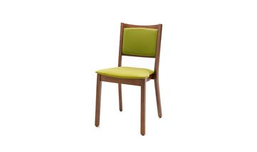 belsedia S01
